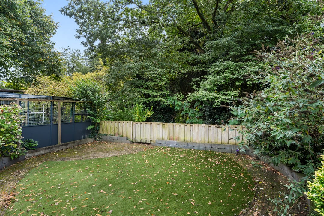 Photo 7 of Boterbloem 49