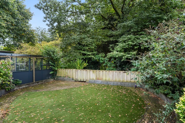 Photo 7 of Boterbloem 49