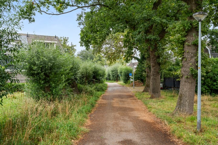 Photo 8 of Boterbloem 49