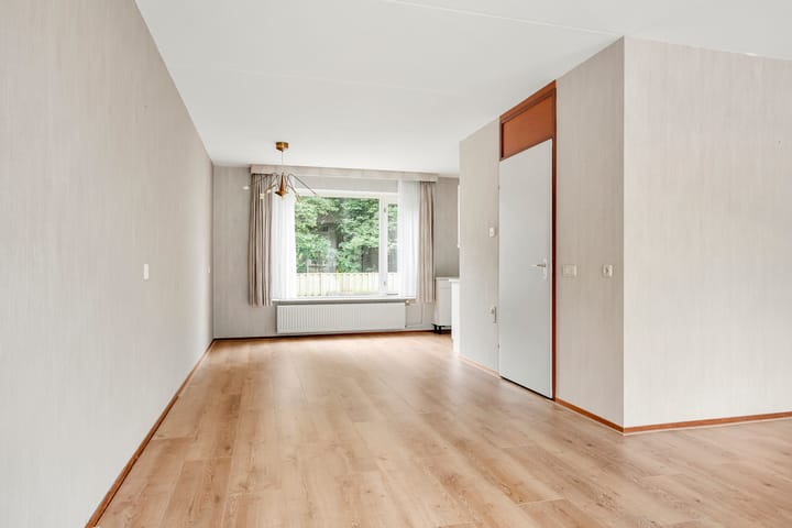 Photo 16 of Boterbloem 49