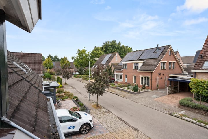 Photo 24 of Boterbloem 49