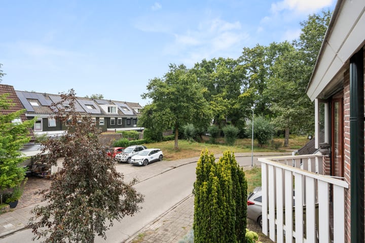 Photo 25 of Boterbloem 49