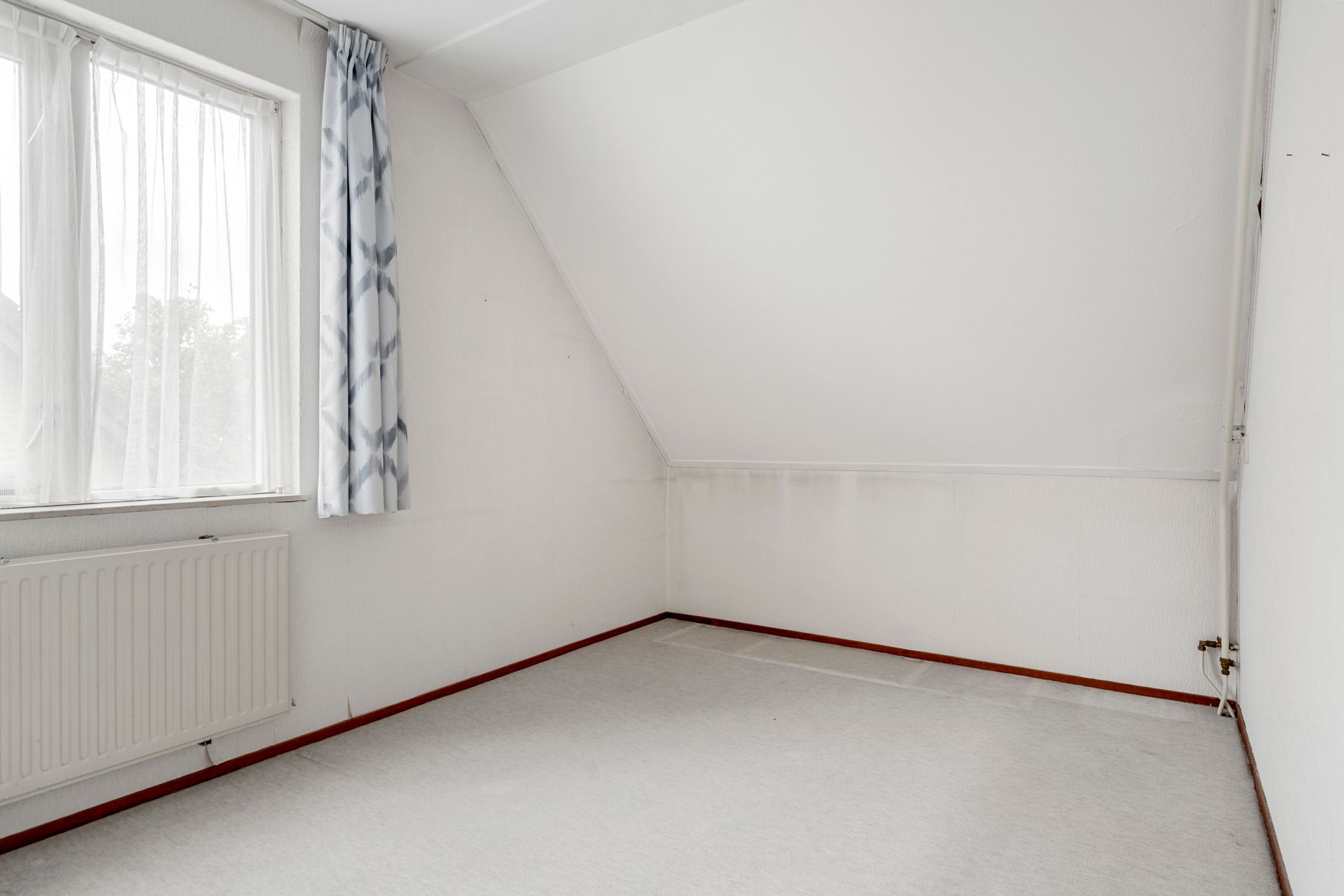 Photo 27 of Boterbloem 49