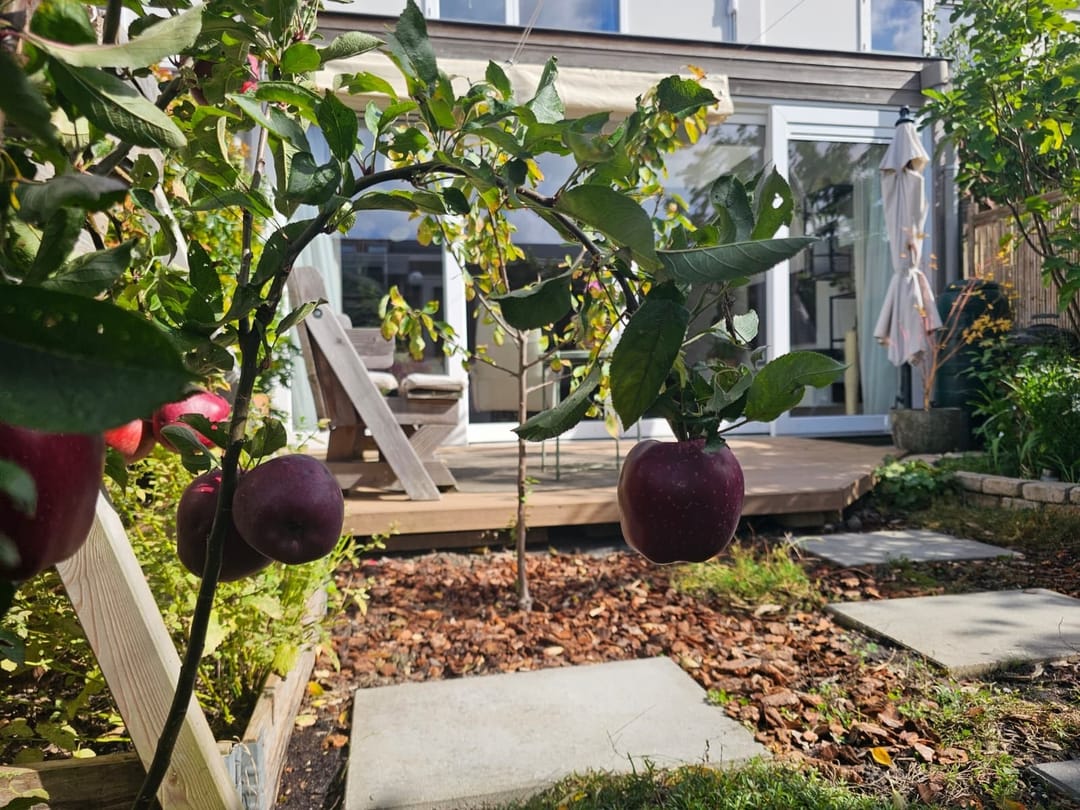 Foto 28 van Klifrakplantsoen 236