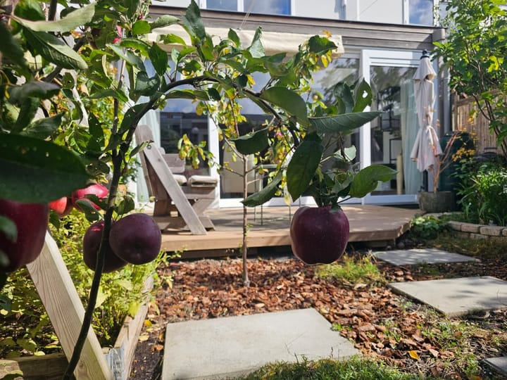 Foto 28 van Klifrakplantsoen 236