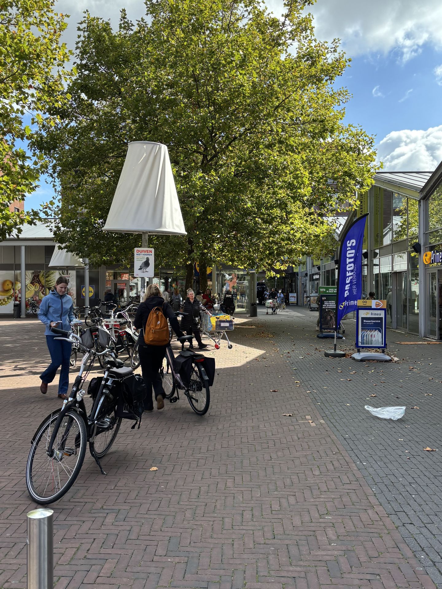 Foto 34 van Klifrakplantsoen 236