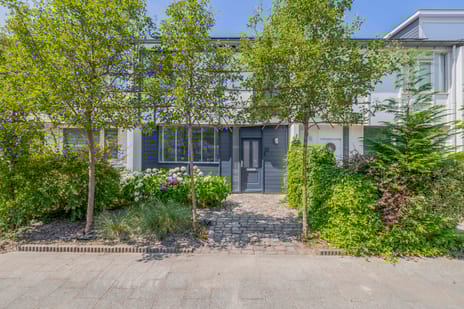 undefined main image