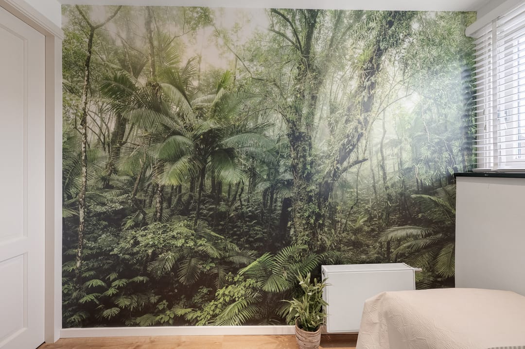 Foto 26 van Ohmstraat 13