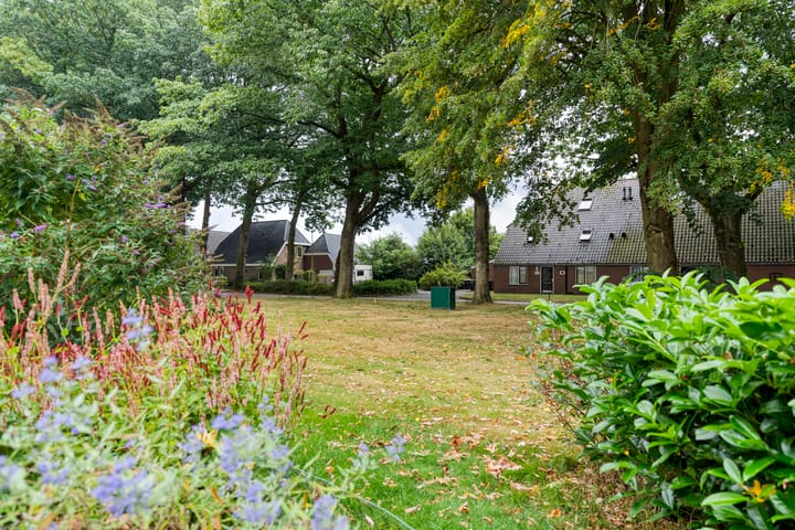 Foto 8 van de Brinken 32