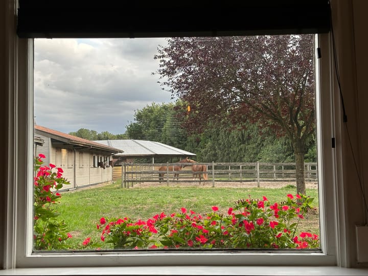 Foto 13 van Wagenstraat 40