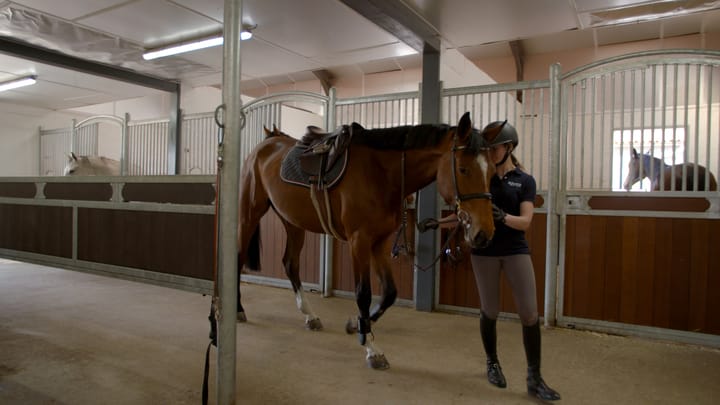 Foto 17 van Wagenstraat 40