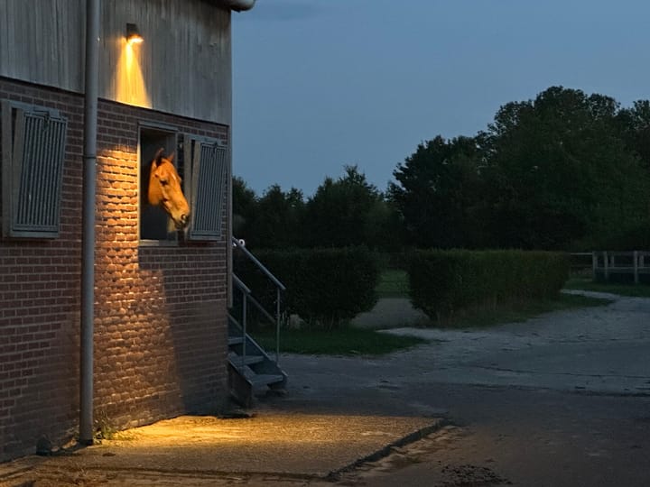 Foto 33 van Wagenstraat 40