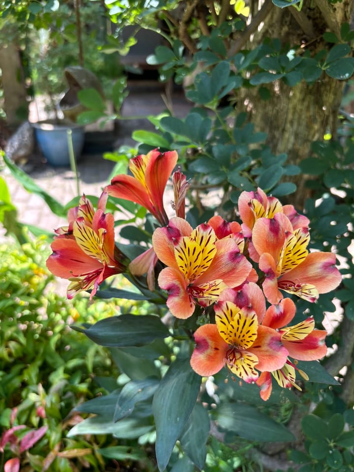 Photo 42 of Industriepark 9