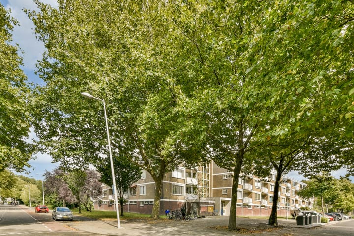 Foto 3 van Nedersticht 252