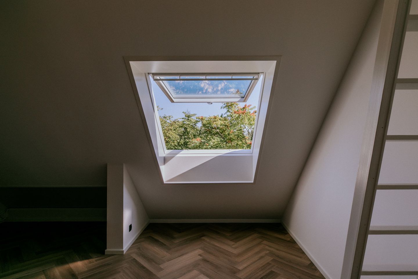 Foto 35 van Elizabeth Adriaansestraat 15