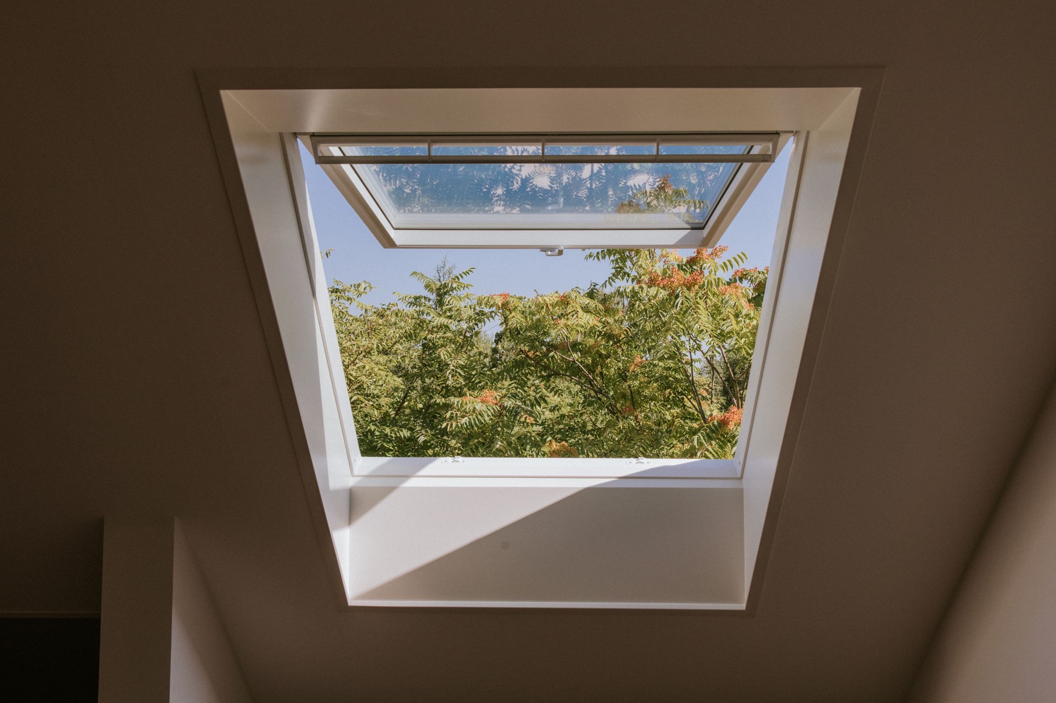 Foto 36 van Elizabeth Adriaansestraat 15