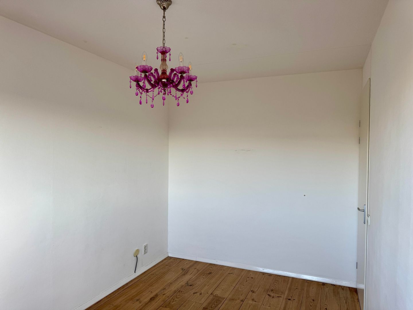 Foto 29 van Mantelmeeuwhof 17