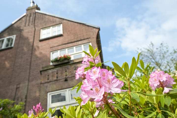 Photo 5 of Violenweg 4-A