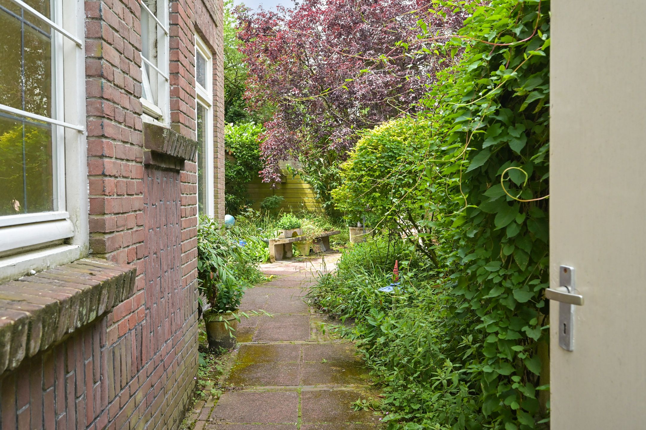 Photo 21 of Violenweg 4-A