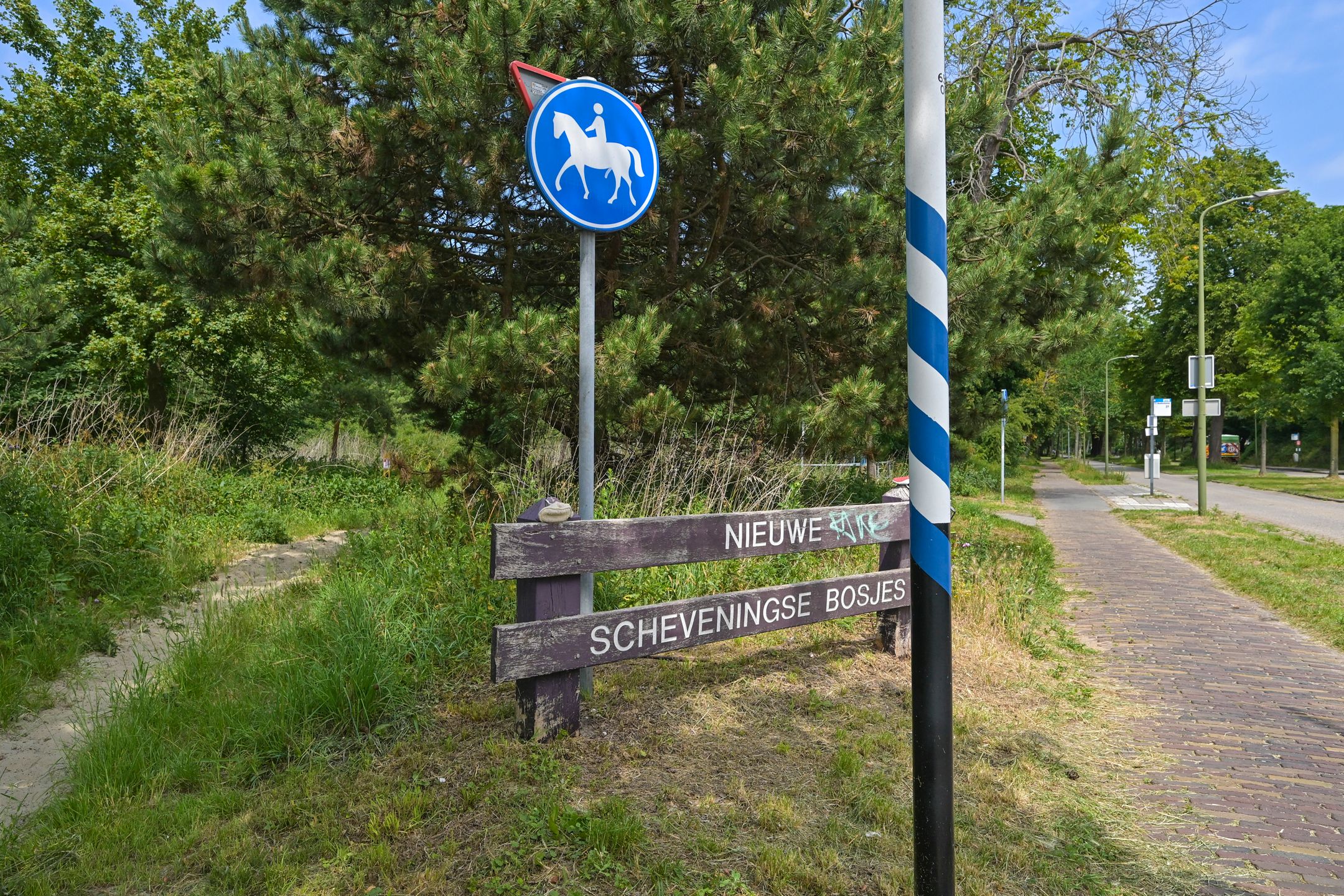 Photo 51 of Violenweg 4-A