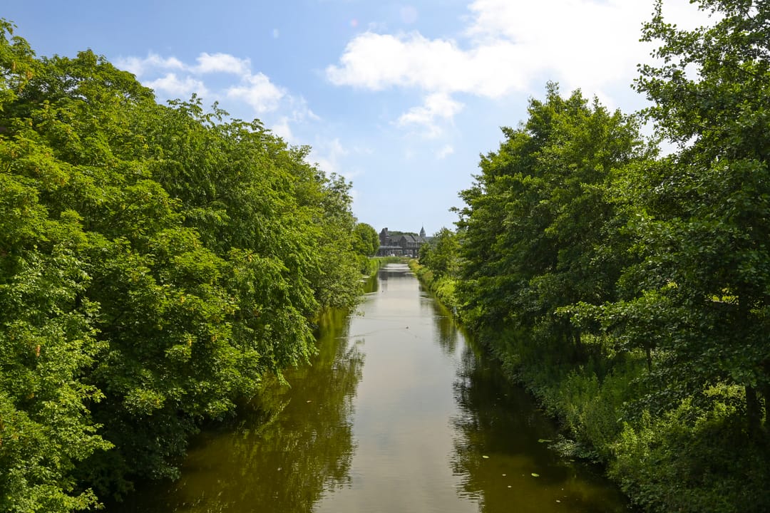 Photo 52 of Violenweg 4-A