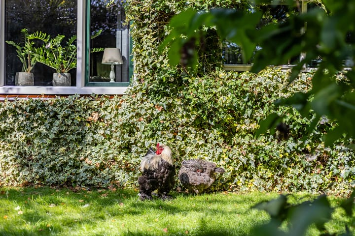 Foto 2 van Halbe Wiersemaweg 6