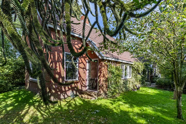 Foto 8 van Halbe Wiersemaweg 6