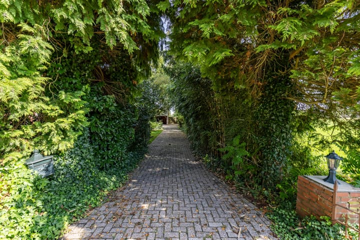 Foto 11 van Halbe Wiersemaweg 6