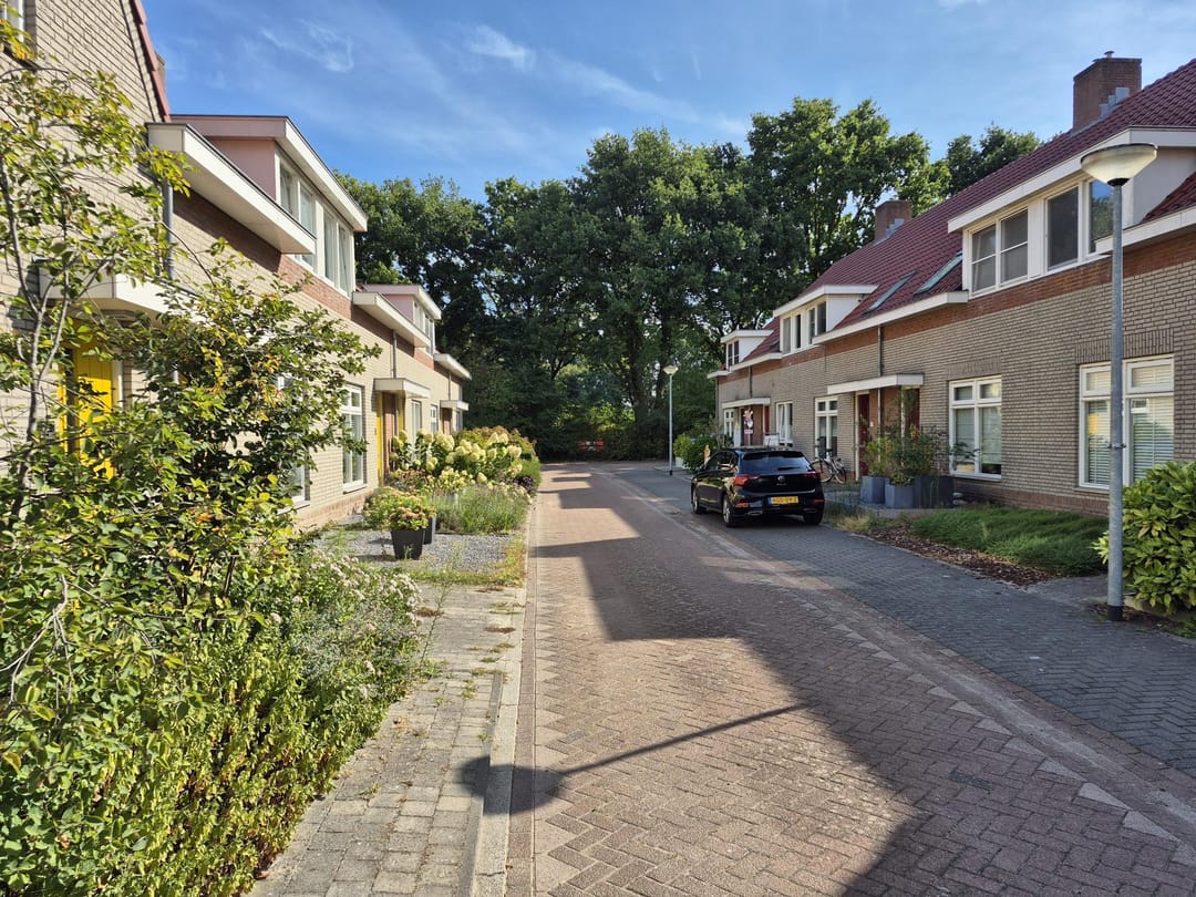 Foto 2 van Distelveld 12