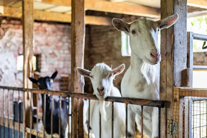 Foto 50 van Halbe Wiersemaweg 6