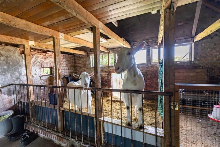 Foto 51 van Halbe Wiersemaweg 6