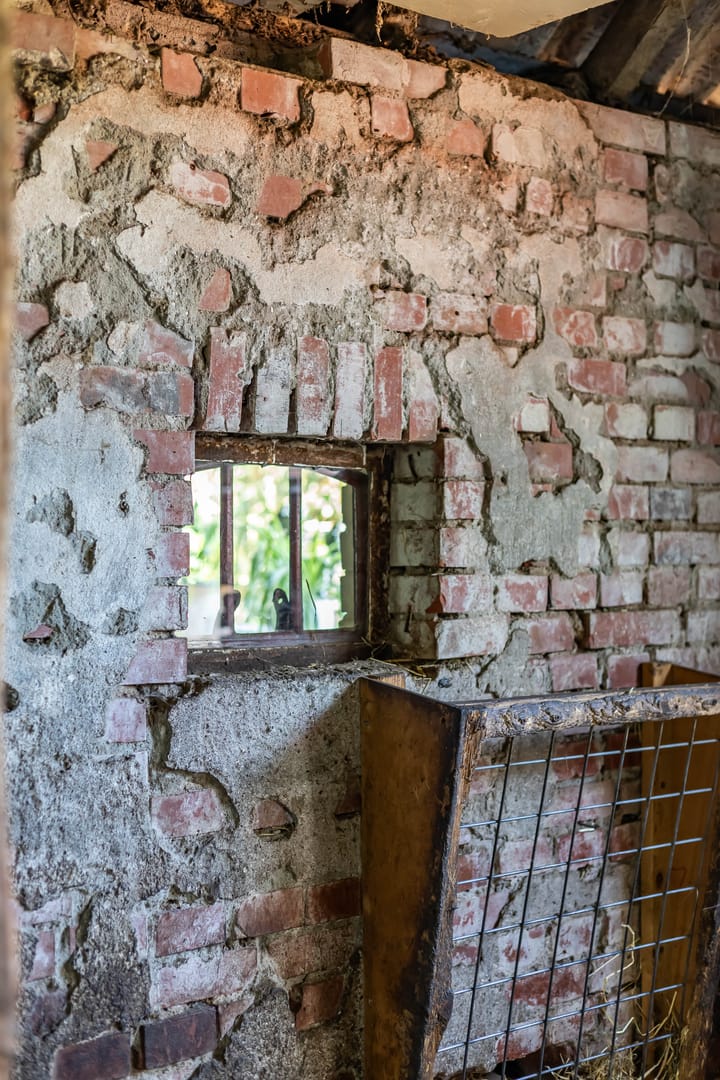 Foto 55 van Halbe Wiersemaweg 6