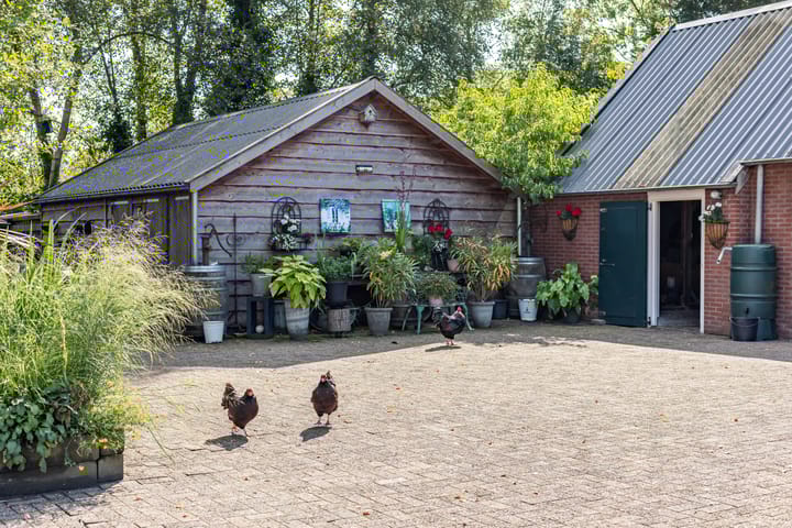 Foto 62 van Halbe Wiersemaweg 6