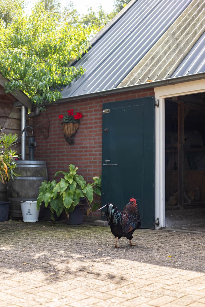 Foto 63 van Halbe Wiersemaweg 6