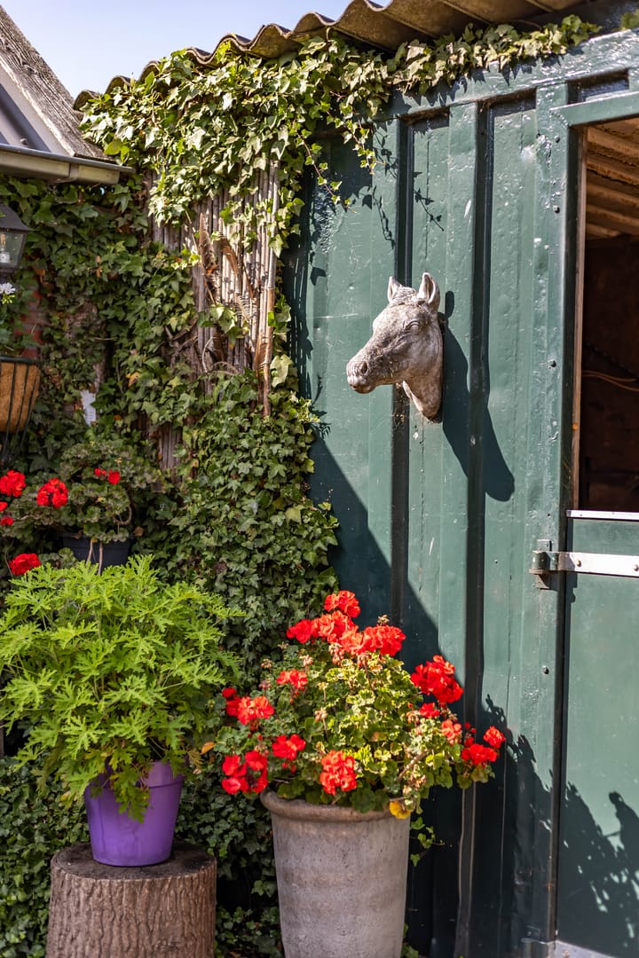 Foto 64 van Halbe Wiersemaweg 6