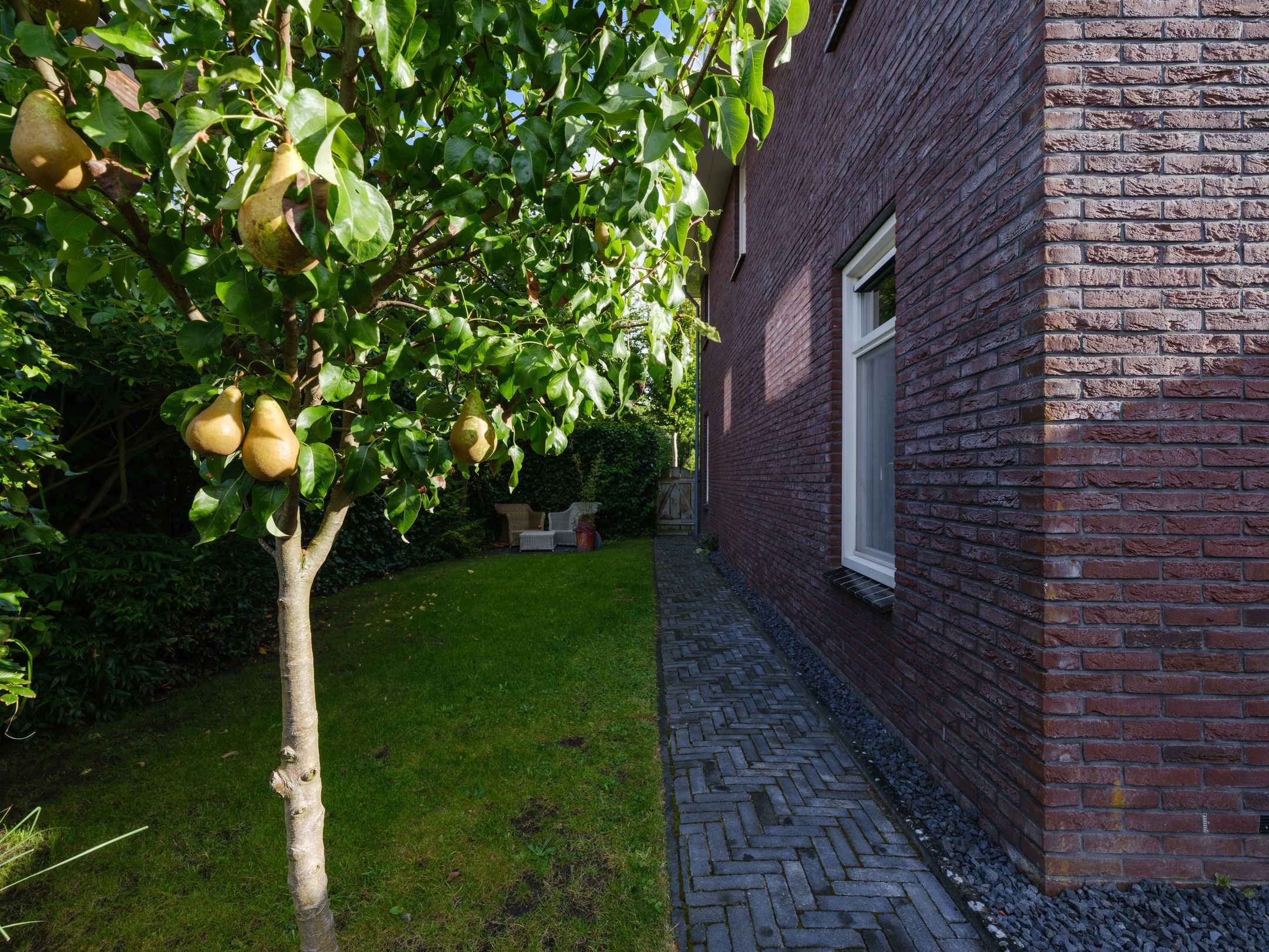 Foto 60 van Wylgestrjitte 3