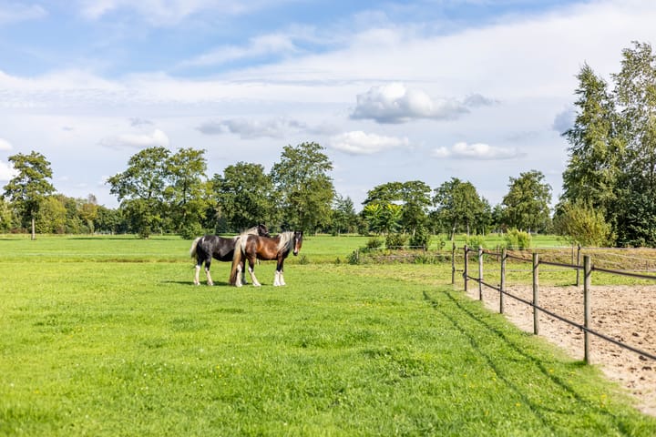 Foto 76 van Halbe Wiersemaweg 6