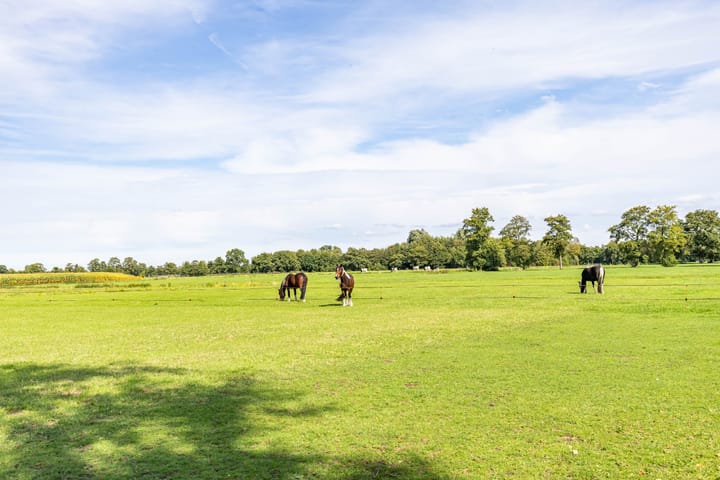 Foto 81 van Halbe Wiersemaweg 6