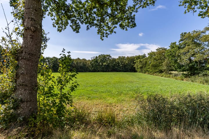 Foto 92 van Halbe Wiersemaweg 6