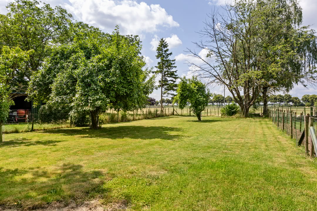 Foto 8 van Koestraat 57