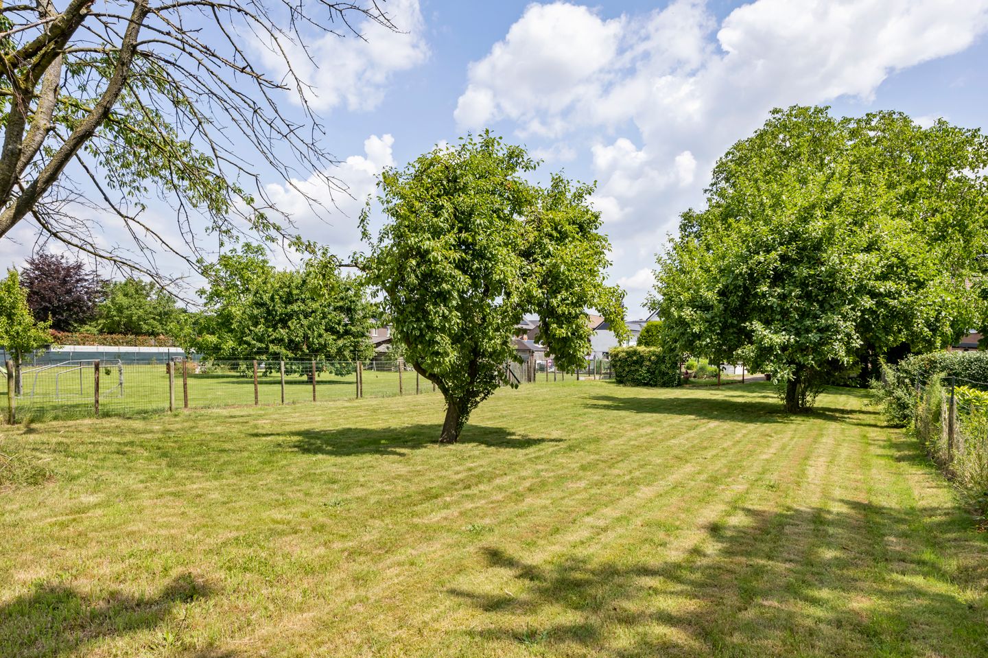 Foto 40 van Koestraat 57