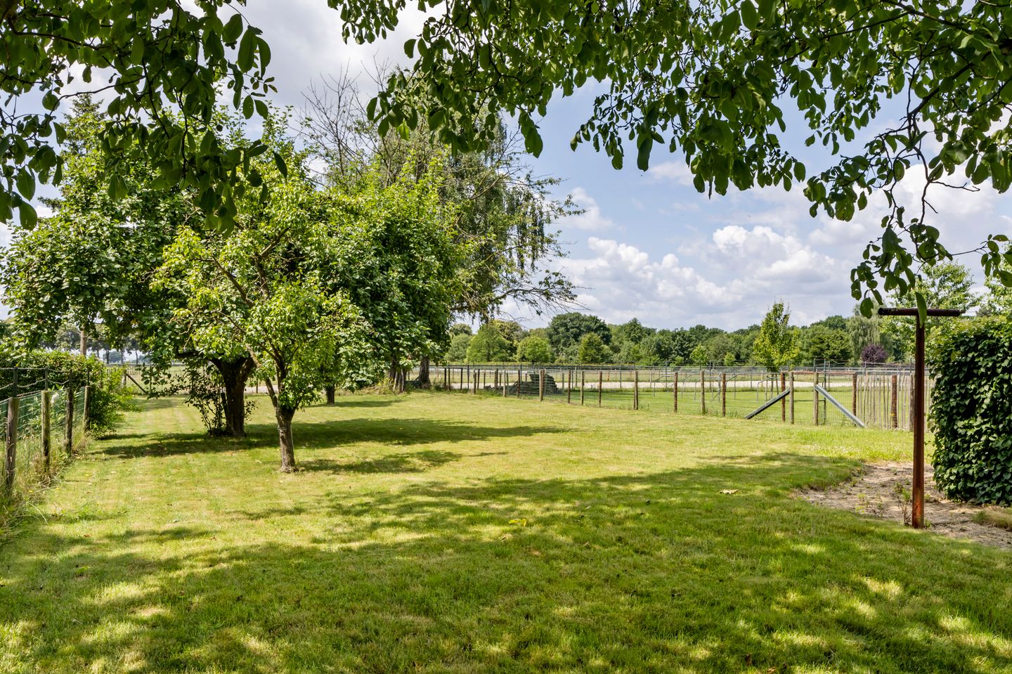 Foto 44 van Koestraat 57