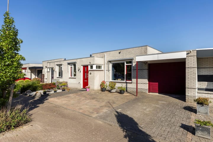 Foto 1 van Tarwebeemd 7