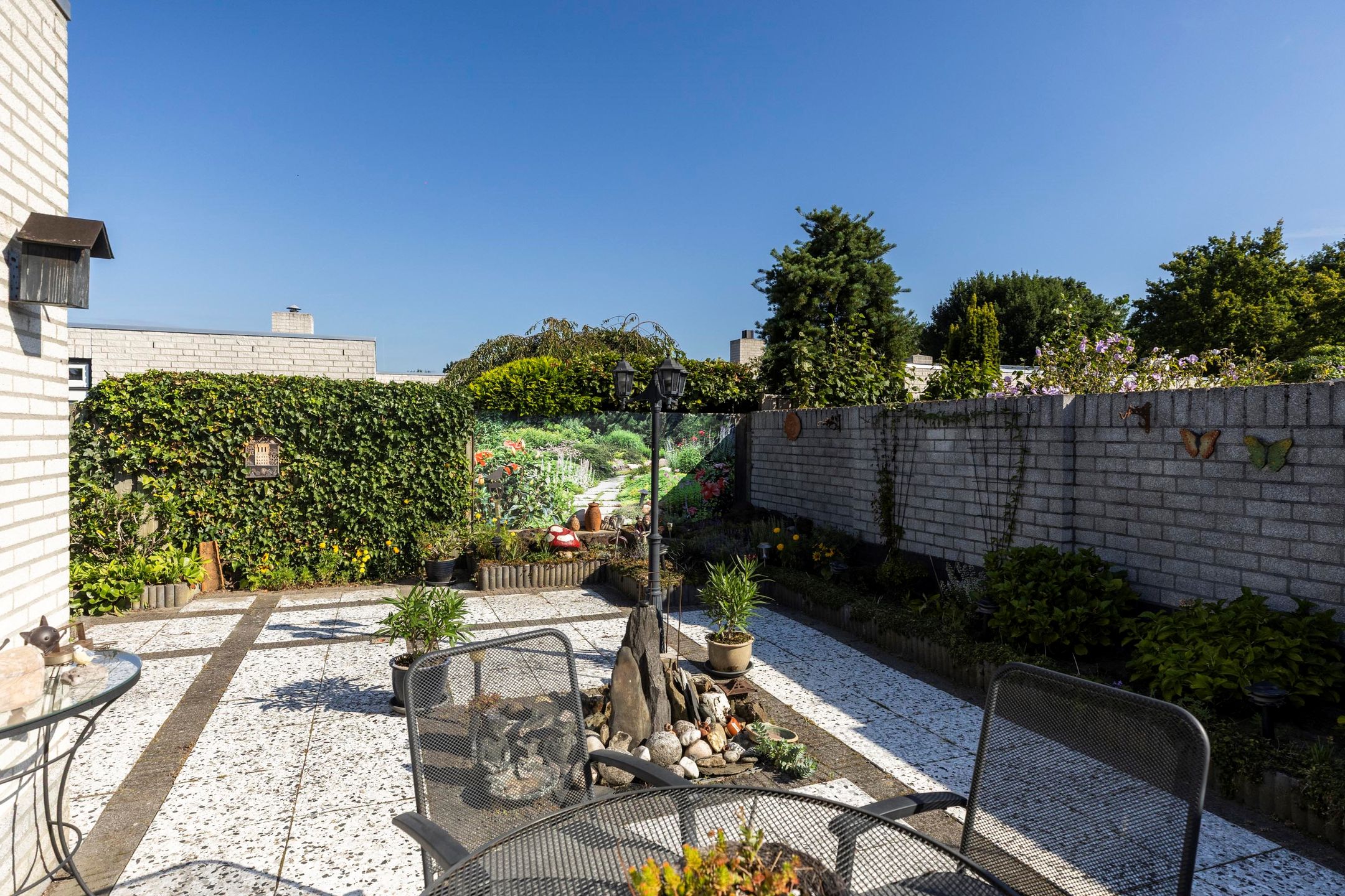 Foto 3 van Tarwebeemd 7