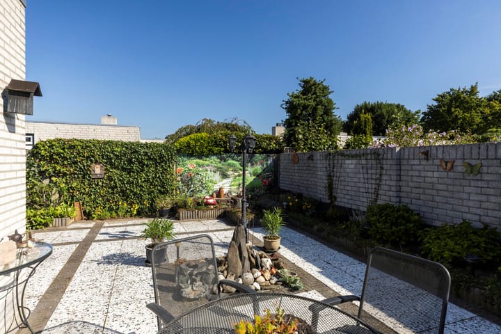 Foto 3 van Tarwebeemd 7