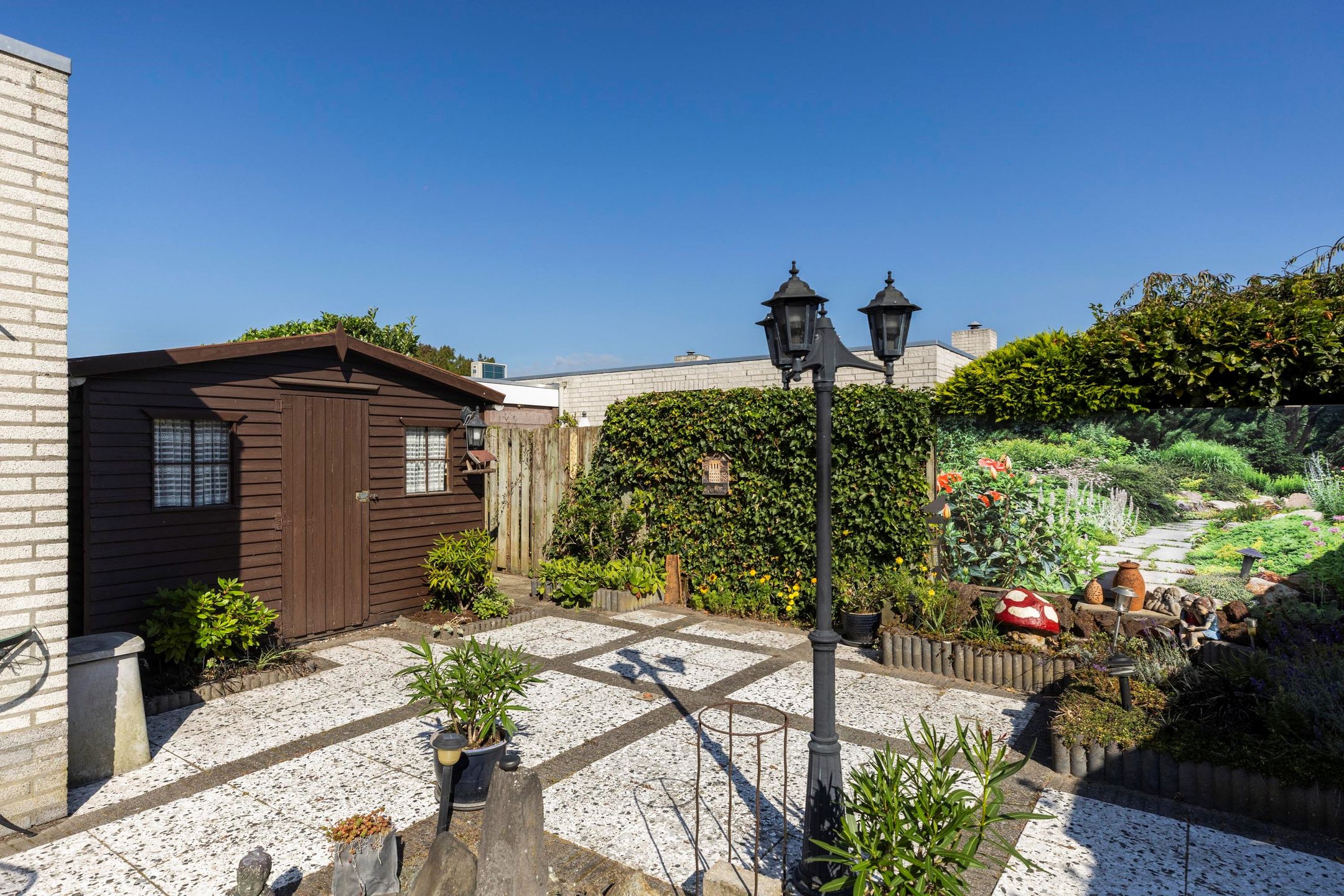 Foto 30 van Tarwebeemd 7