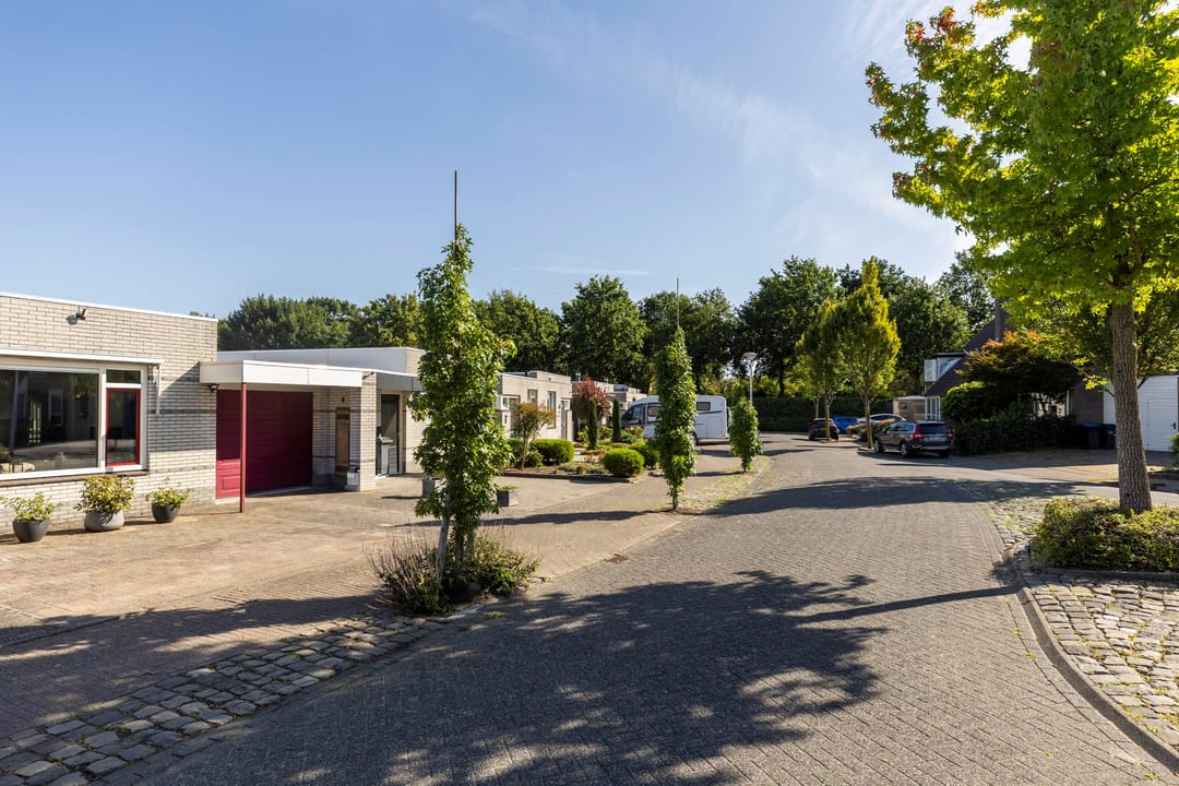 Foto 32 van Tarwebeemd 7