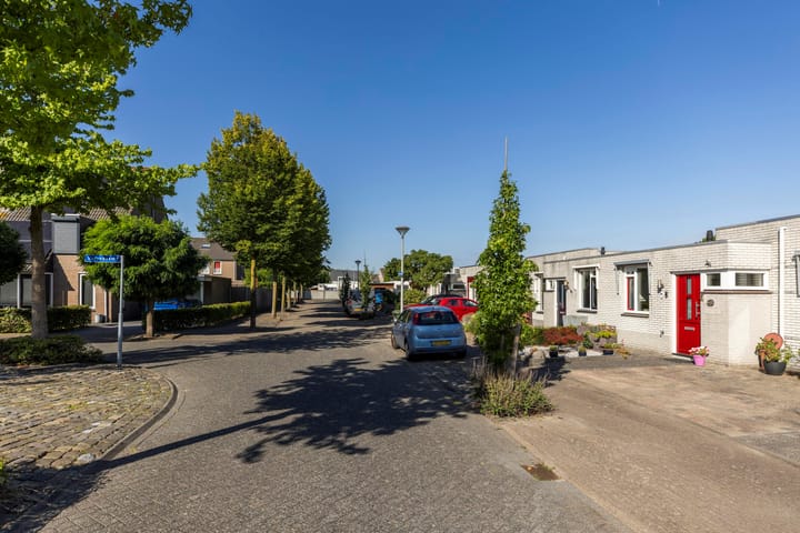 Foto 33 van Tarwebeemd 7