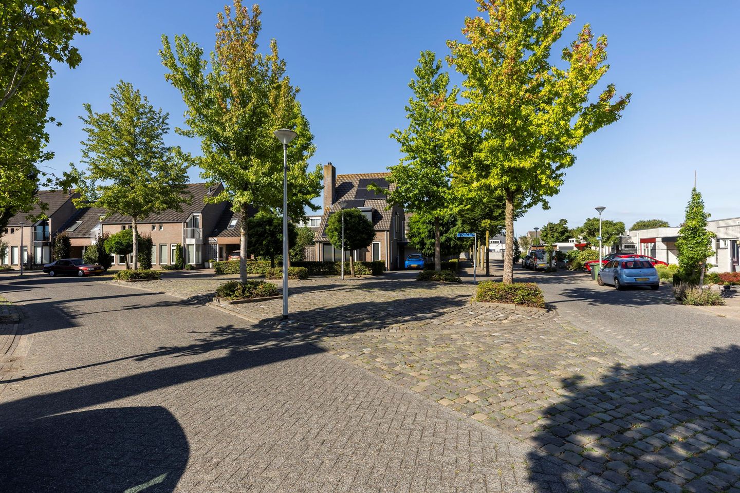 Foto 34 van Tarwebeemd 7