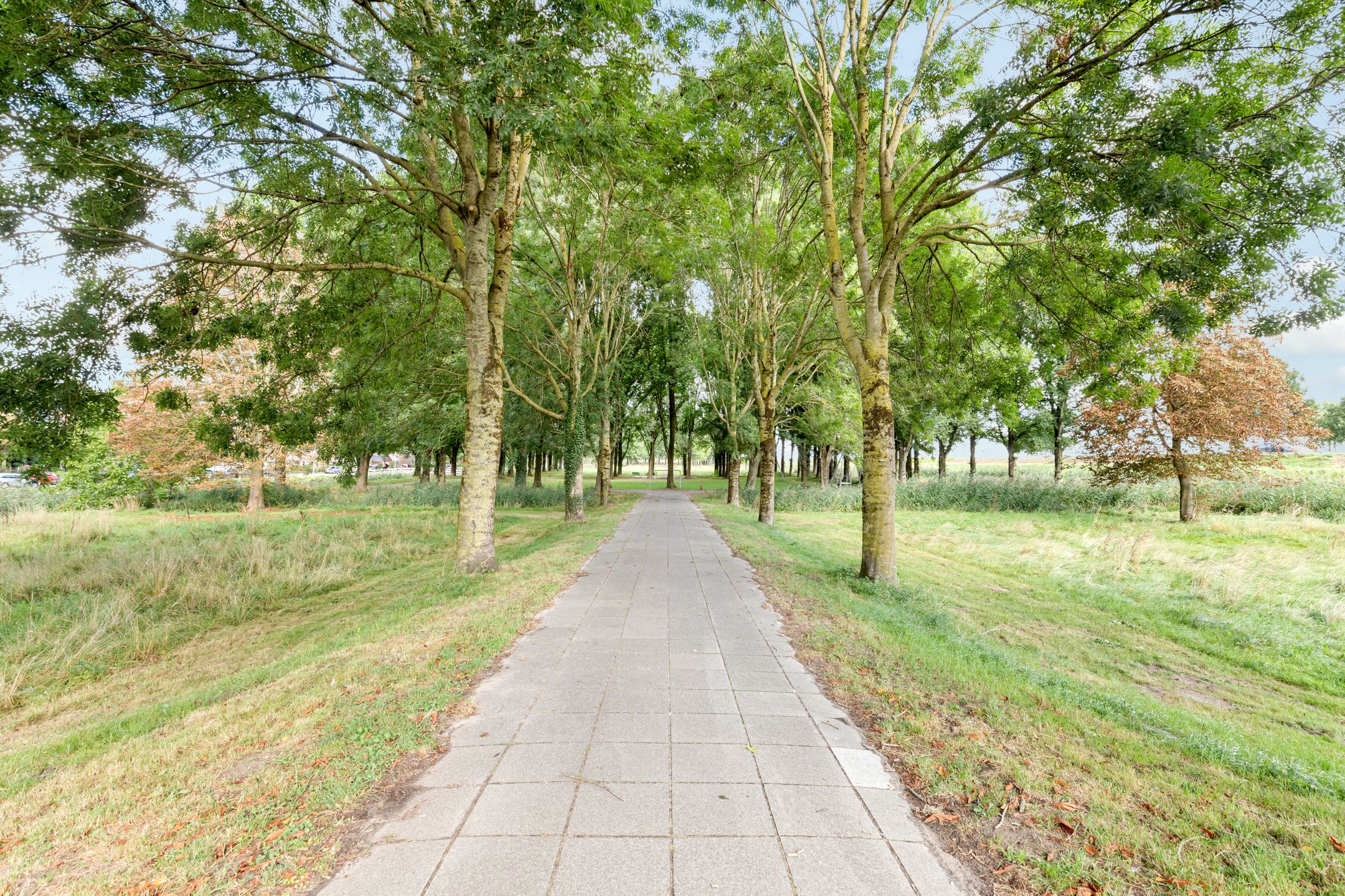 Photo 39 of Molenrak 21